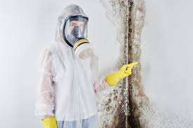 Best Asbestos and Lead Testing During Mold Inspection  in Lancaster, WI